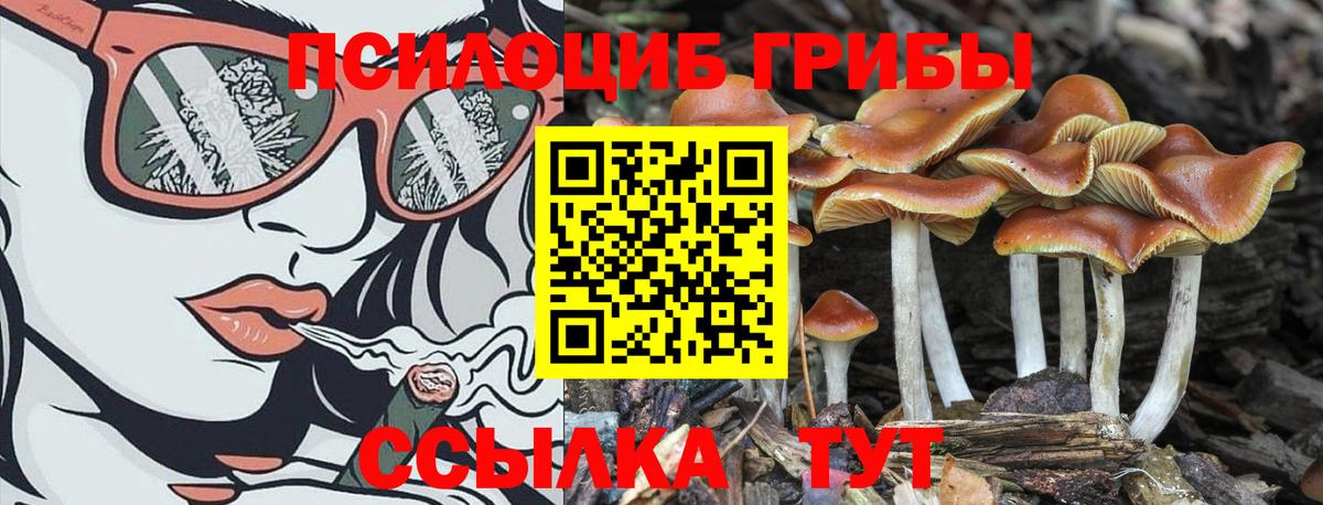 Ноябрьск  Галлюциногенные грибы GOLDEN TEACHER  Галлюциногенные грибы Magic Shrooms  Вход с VPN 