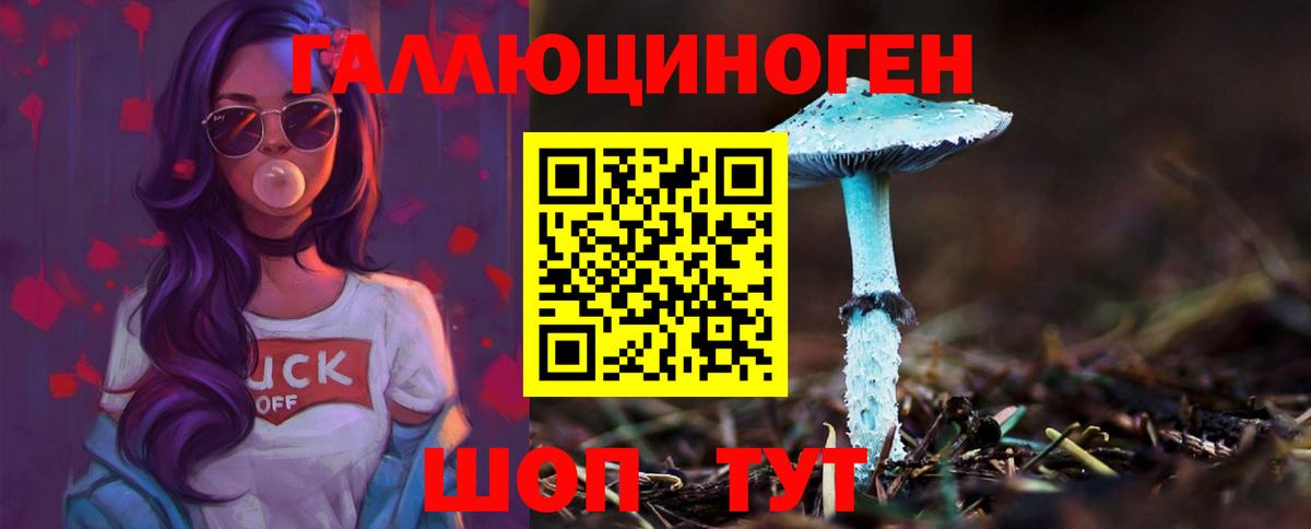 Псилоцибиновые грибы Cubensis Ноябрьск